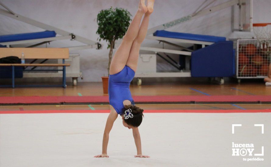 GALERÍA: Más de 300 niños y niñas participan durante el fin de semana en tres eventos con la gimnasia como protagonista