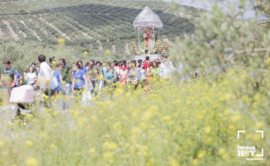 GALERÍA: La Guardia Civil rinde honores a la Virgen de Araceli en una multitudinaria romería de Subida GALERÍA: La Guardia Civil rinde honores a la Virgen de Araceli en una multitudinaria romería de Subida