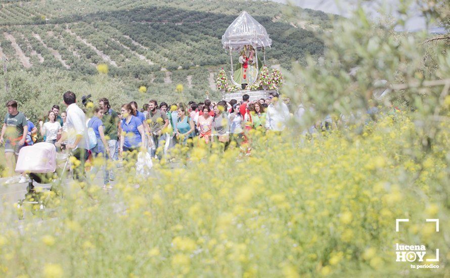 GALERÍA: La Guardia Civil rinde honores a la Virgen de Araceli en una multitudinaria romería de Subida