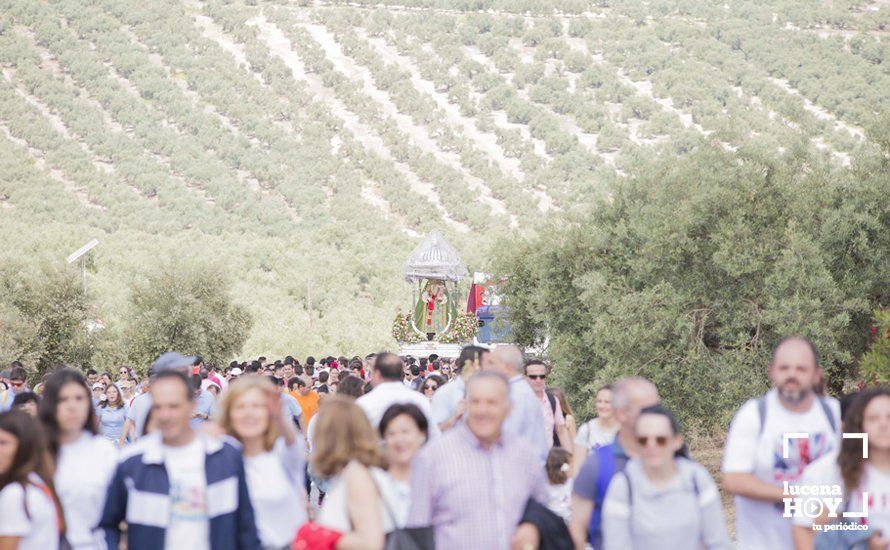 GALERÍA: La Guardia Civil rinde honores a la Virgen de Araceli en una multitudinaria romería de Subida