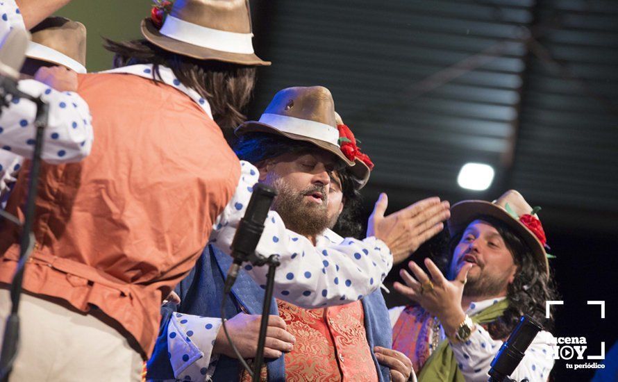 GALERÍA: Carnavaluc celebra sus veinte años de existencia con mucho humor GALERÍA: Carnavaluc celebra sus veinte años de existencia con mucho humor