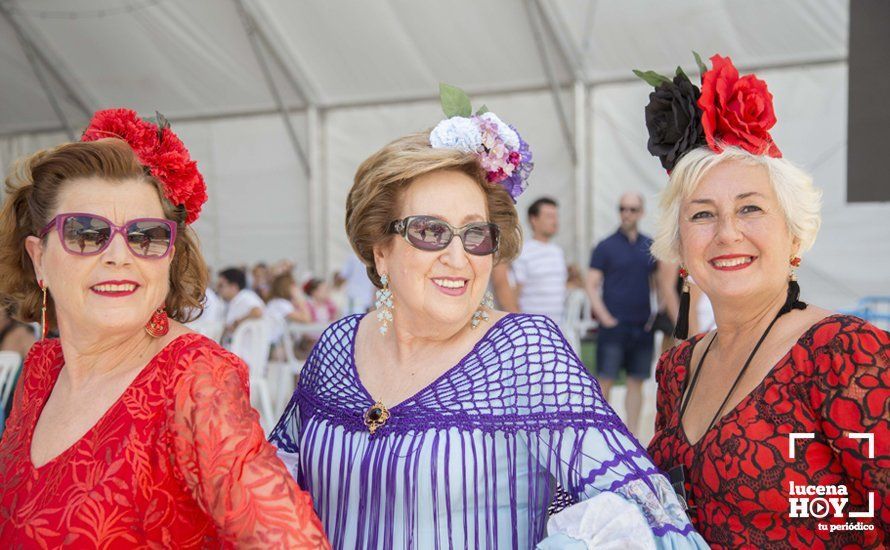 GALERÍA: De flamencas y caballistas en el Real de la Feria del Valle