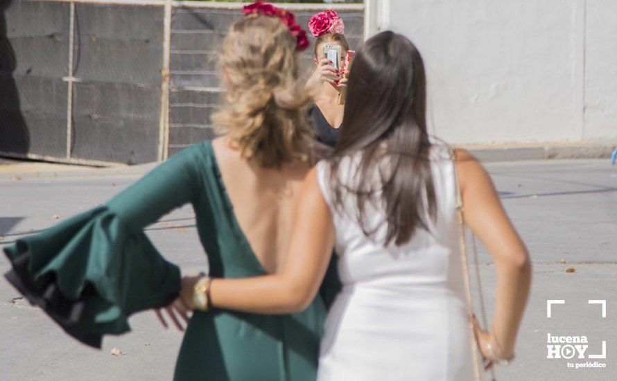 GALERÍA: De flamencas y caballistas en el Real de la Feria del Valle