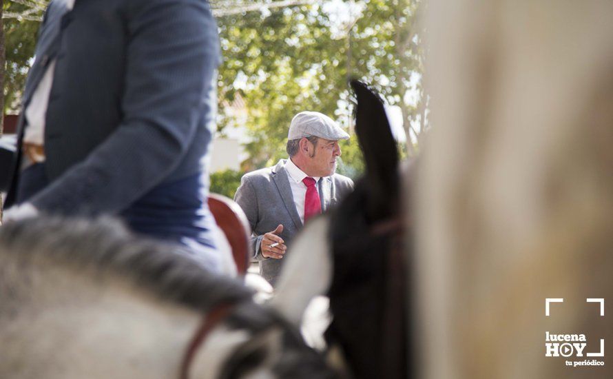 GALERÍA: De flamencas y caballistas en el Real de la Feria del Valle