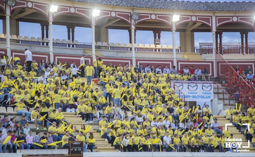 GALERÍA: El Gran Prix viste de risas y color las gradas de la Plaza de Toros a beneficio del templo de San Pedro Mártir GALERÍA: El Gran Prix viste de risas y color las gradas de la Plaza de Toros a beneficio del templo de San Pedro Mártir