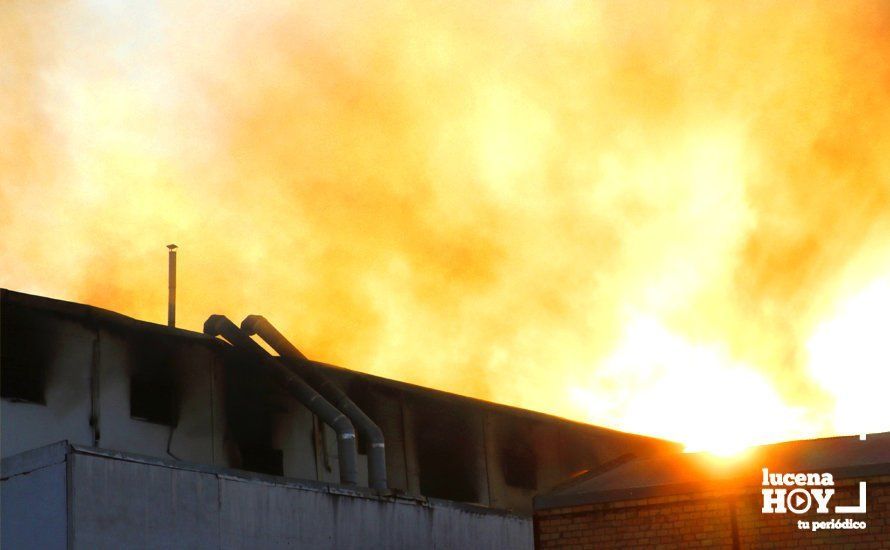 GALERÍA: Las fotos del grave incendio en una empresa de barnizados del Polígono de Los Santos en Lucena GALERÍA: Las fotos del grave incendio en una empresa de barnizados del Polígono de Los Santos en Lucena