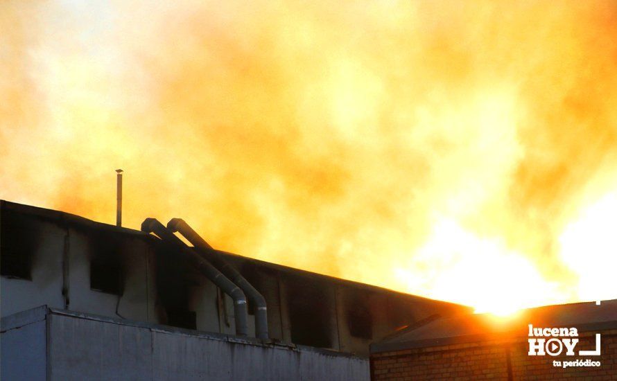 GALERÍA: Las fotos del grave incendio en una empresa de barnizados del Polígono de Los Santos en Lucena