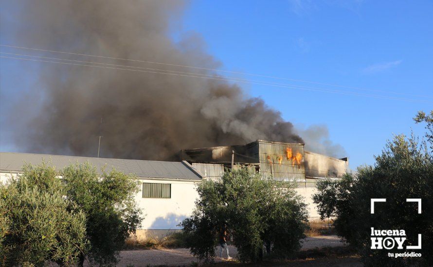 GALERÍA: Las fotos del grave incendio en una empresa de barnizados del Polígono de Los Santos en Lucena