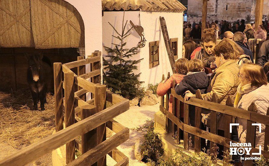 GALERÍA: ¡Ya es Navidad!. Estuvimos en el encendido del alumbrado e inauguración del Belén