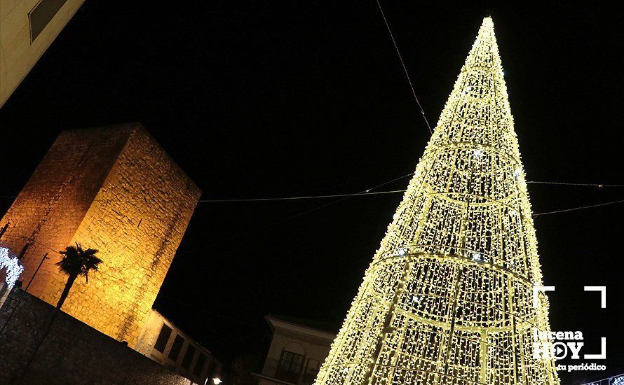 GALERÍA: ¡Ya es Navidad!. Estuvimos en el encendido del alumbrado e inauguración del Belén