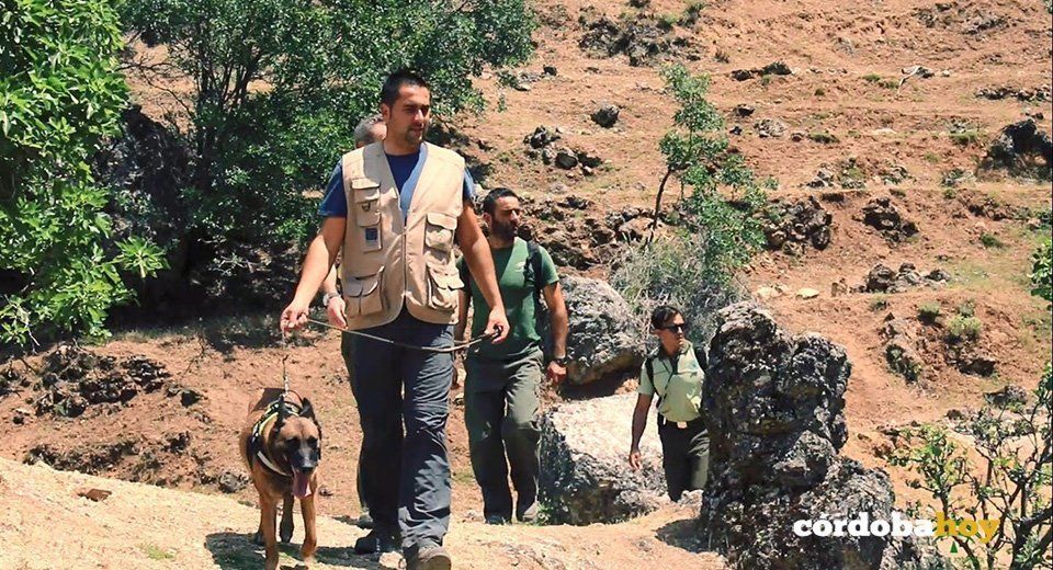 Condenado un agricultor de Lucena por un delito contra la fauna al cazar usando veneno