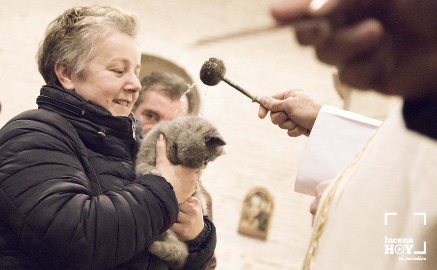 GALERÍA: Perros y gatos visitan a Santiago por San Antón