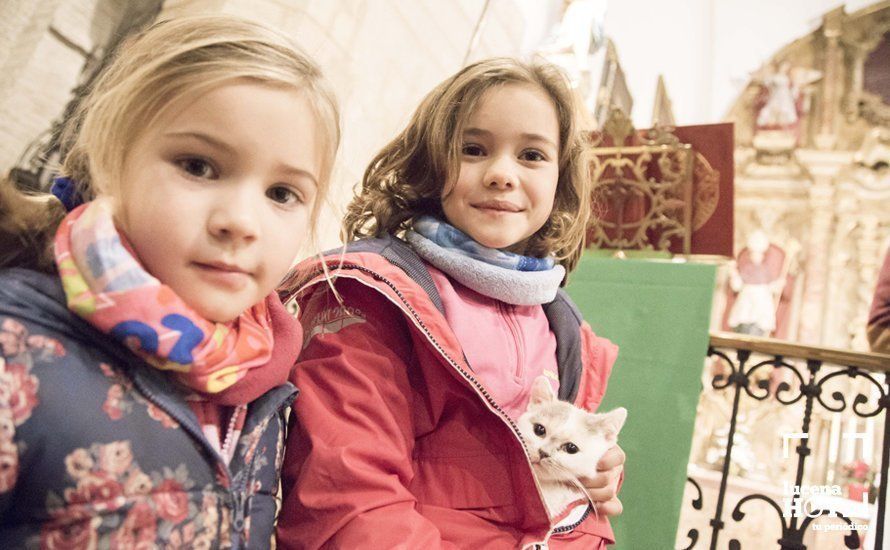 GALERÍA: Perros y gatos visitan a Santiago por San Antón