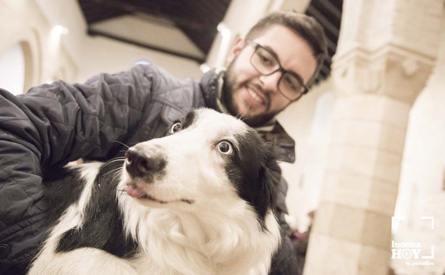 GALERÍA: Perros y gatos visitan a Santiago por San Antón