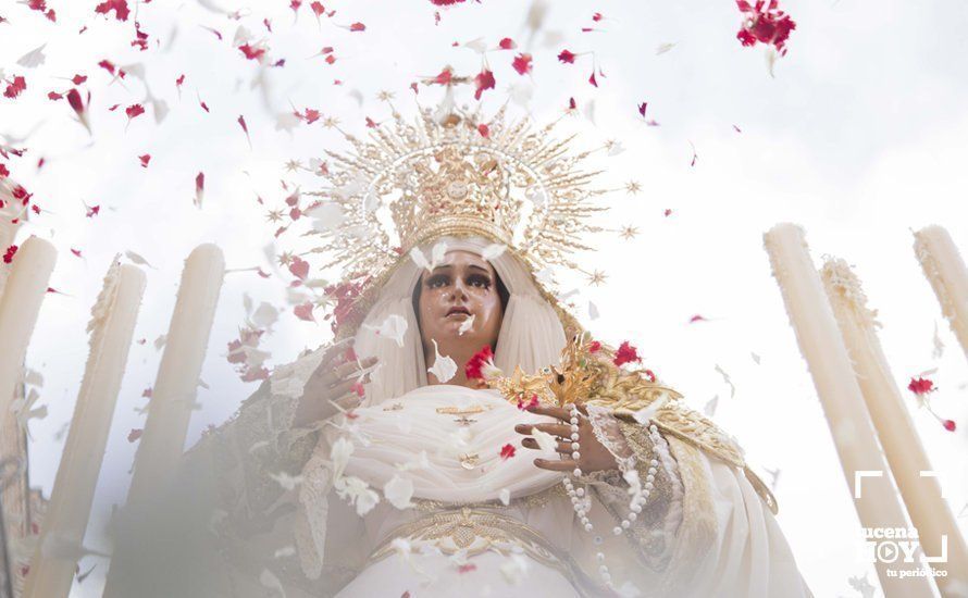 GALERÍA: Un 'Rosario por la Paz' para abrir los actos conmemorativos del 50 Aniversario Fundacional de la Cofradía del Amor GALERÍA: Un 'Rosario por la Paz' para abrir los actos conmemorativos del 50 Aniversario Fundacional de la Cofradía del Amor