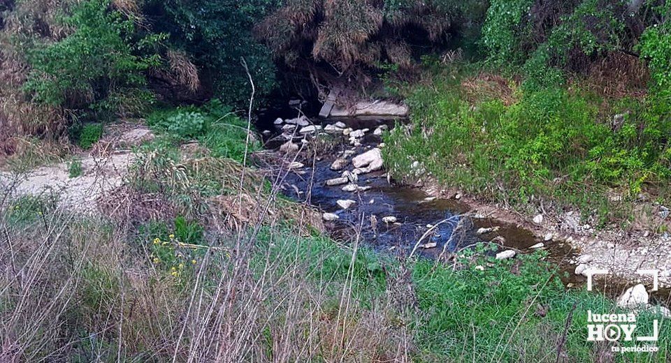  Vertido denunciado en el río Lucena 