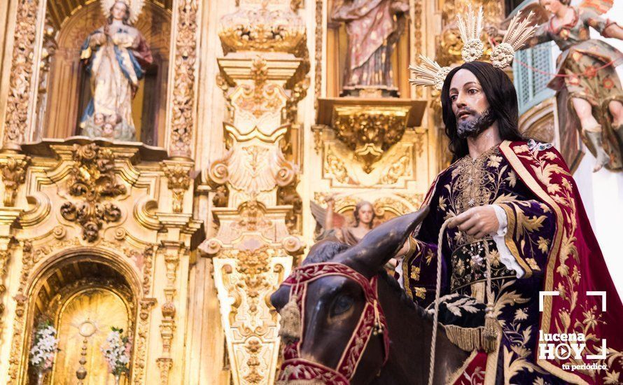 GALERÍA: La "Pollinita" del Carmen abre la Semana Santa presidiendo la Procesión de las Palmas por su 250 Aniversario