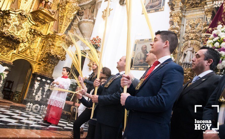 GALERÍA: La "Pollinita" del Carmen abre la Semana Santa presidiendo la Procesión de las Palmas por su 250 Aniversario