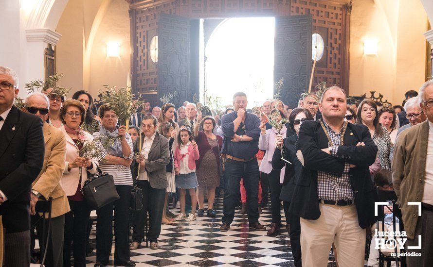 GALERÍA: La "Pollinita" del Carmen abre la Semana Santa presidiendo la Procesión de las Palmas por su 250 Aniversario