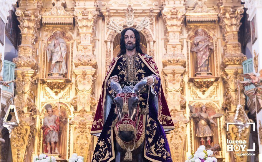 GALERÍA: La "Pollinita" del Carmen abre la Semana Santa presidiendo la Procesión de las Palmas por su 250 Aniversario GALERÍA: La "Pollinita" del Carmen abre la Semana Santa presidiendo la Procesión de las Palmas por su 250 Aniversario