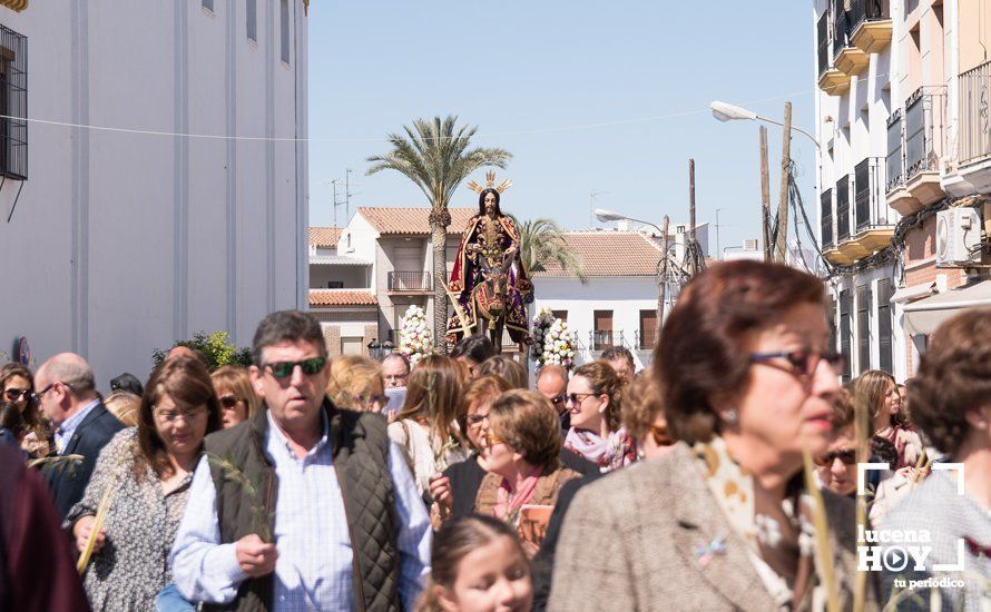 GALERÍA: La "Pollinita" del Carmen abre la Semana Santa presidiendo la Procesión de las Palmas por su 250 Aniversario