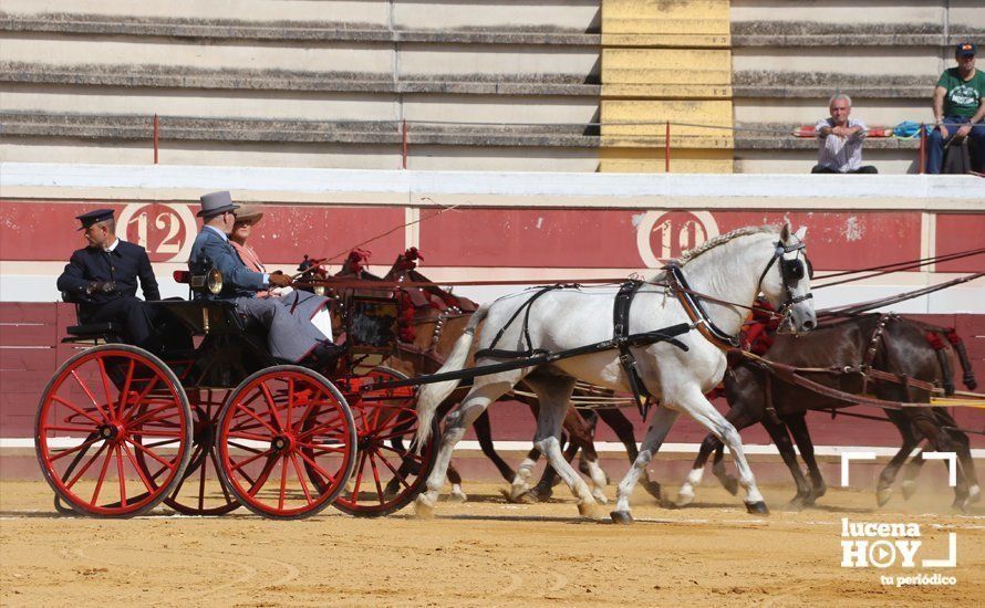 GALERÍA: Doce orejas y un rabo: Pleno de triunfos en el festival taurino de Lucena