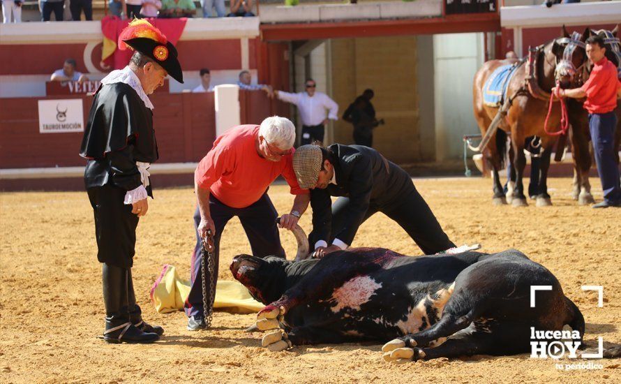 GALERÍA: Doce orejas y un rabo: Pleno de triunfos en el festival taurino de Lucena