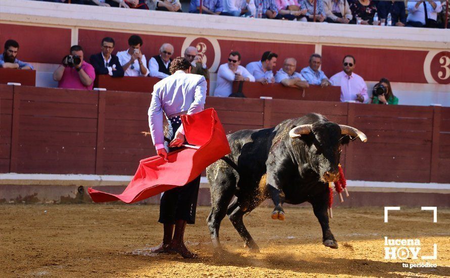 GALERÍA: Doce orejas y un rabo: Pleno de triunfos en el festival taurino de Lucena