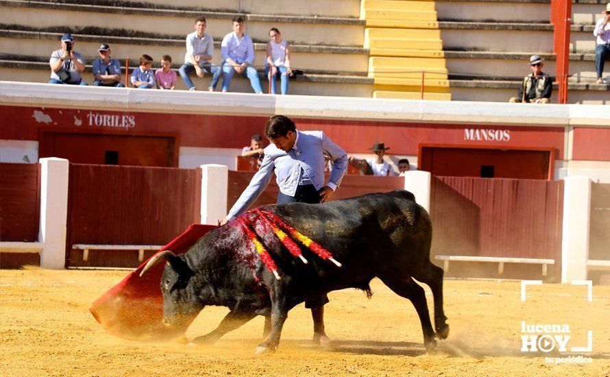 GALERÍA: Doce orejas y un rabo: Pleno de triunfos en el festival taurino de Lucena