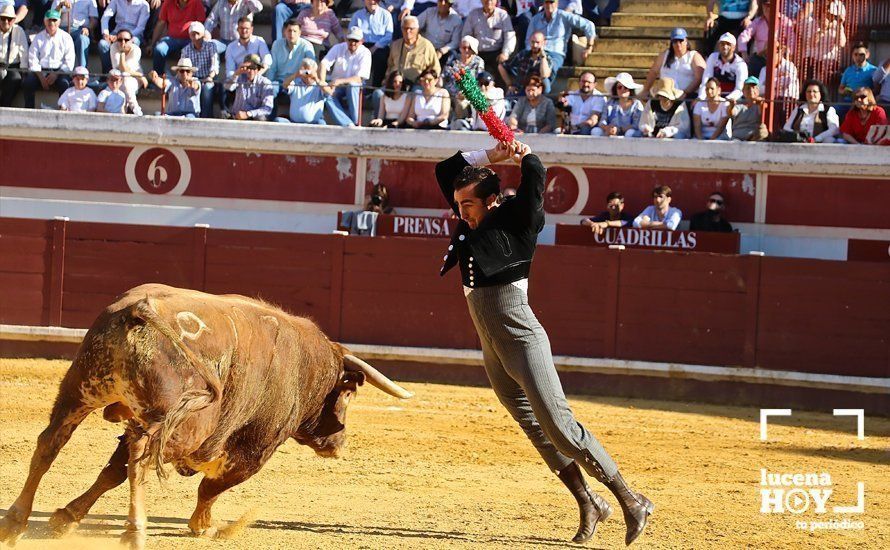 GALERÍA: Doce orejas y un rabo: Pleno de triunfos en el festival taurino de Lucena