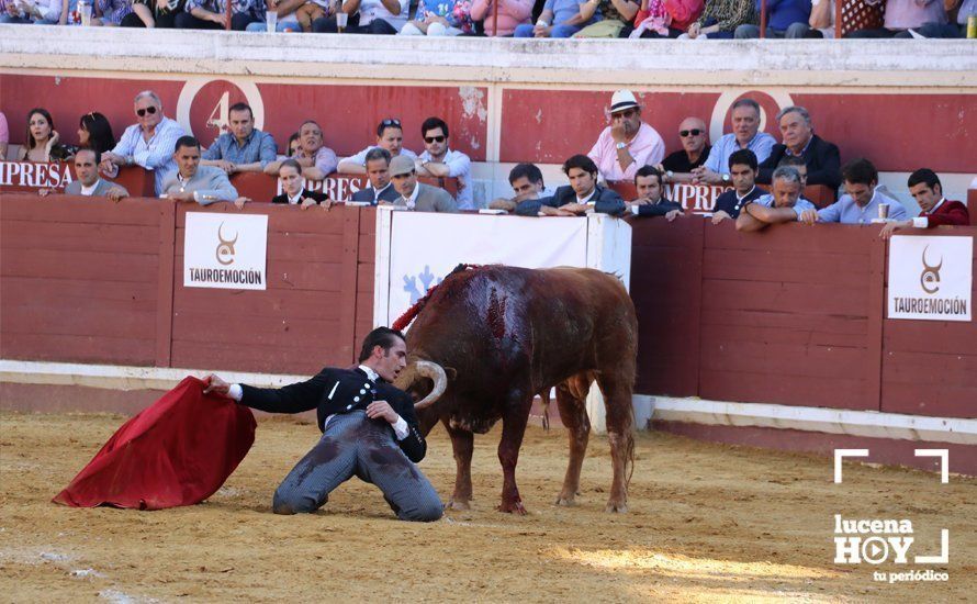 GALERÍA: Doce orejas y un rabo: Pleno de triunfos en el festival taurino de Lucena