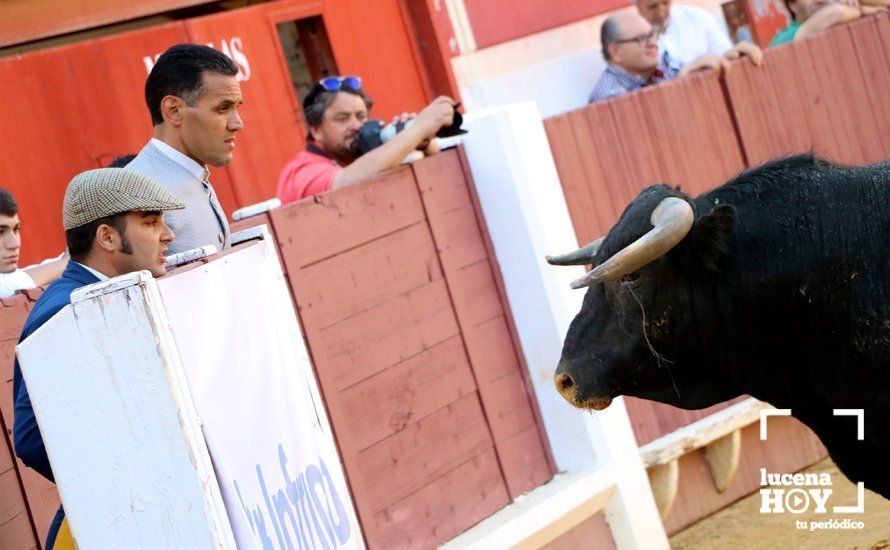 GALERÍA: Doce orejas y un rabo: Pleno de triunfos en el festival taurino de Lucena