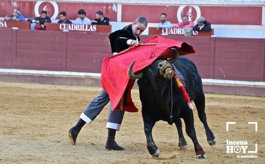 GALERÍA: Doce orejas y un rabo: Pleno de triunfos en el festival taurino de Lucena