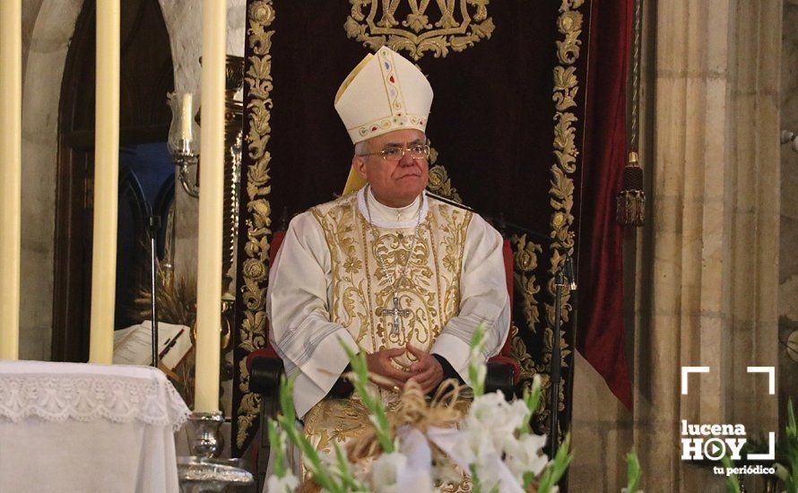 FIESTAS ARACELITANAS: El Obispo de Córdoba preside la Solemne Función Religiosa en San Mateo FIESTAS ARACELITANAS: El Obispo de Córdoba preside la Solemne Función Religiosa en San Mateo