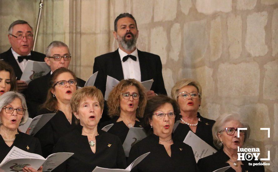 FIESTAS ARACELITANAS: El Obispo de Córdoba preside la Solemne Función Religiosa en San Mateo