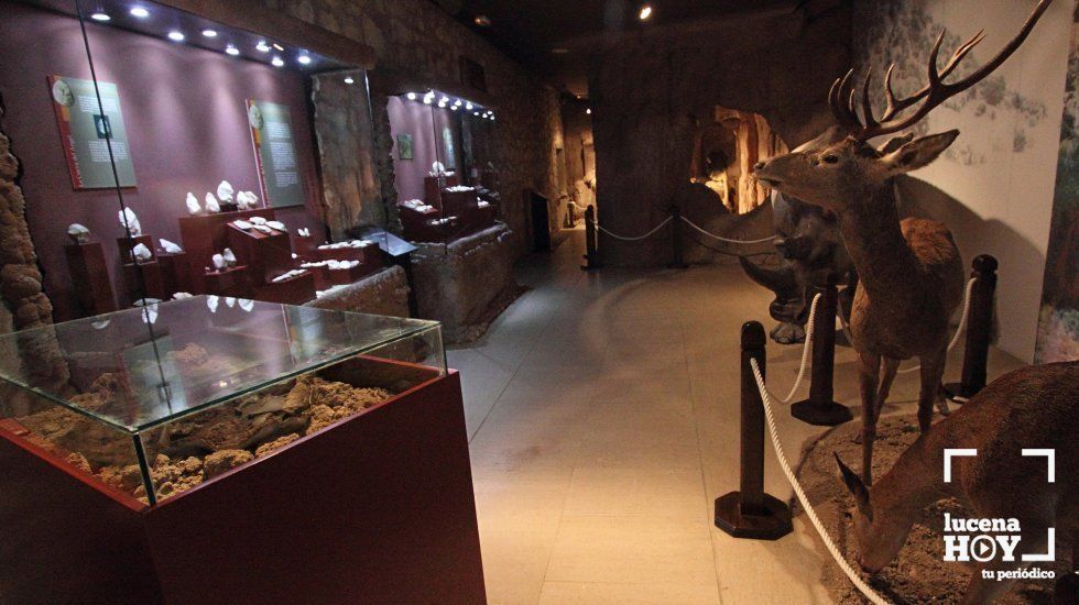  El programa incluye una visita nocturna al museo arqueológico 