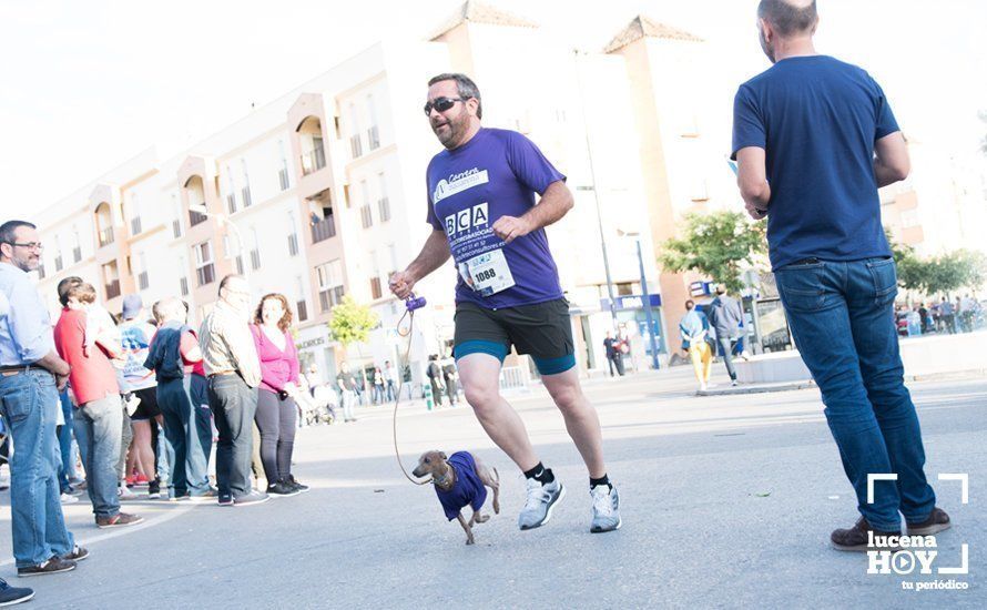 GALERÍA: Jasmine Boutoil y Jaume Leiva se llevan la multitudinaria IV Carrera Nazarena de Lucena