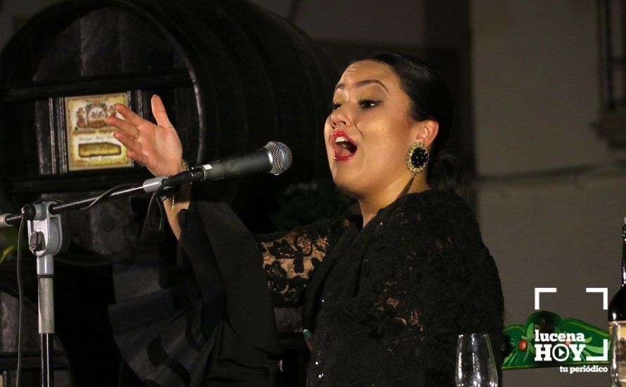 GALERÍA: Las imagenes del Festival Flamenco Curro Lucena que este viernes abrió las fiestas de Santiago