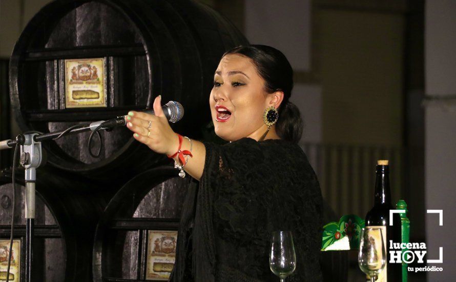 GALERÍA: Las imagenes del Festival Flamenco Curro Lucena que este viernes abrió las fiestas de Santiago