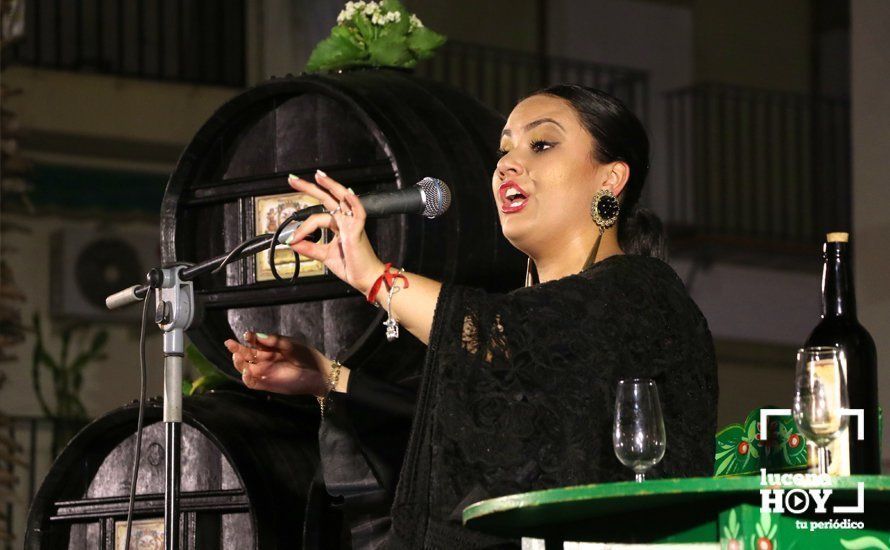 GALERÍA: Las imagenes del Festival Flamenco Curro Lucena que este viernes abrió las fiestas de Santiago GALERÍA: Las imagenes del Festival Flamenco Curro Lucena que este viernes abrió las fiestas de Santiago