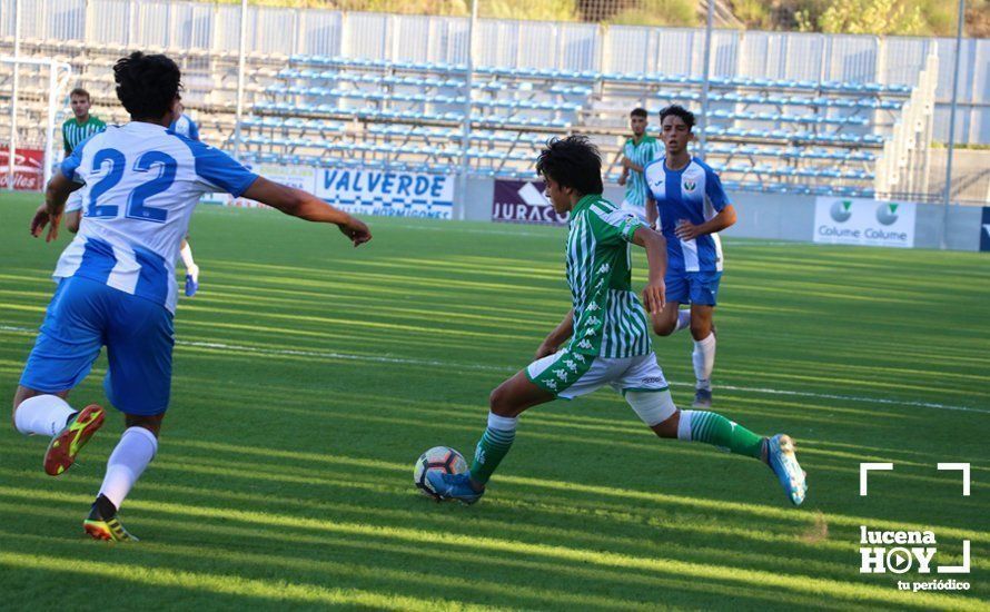 GALERÍA: El Real Betis se lleva el Trofeo Torre del Moral tras imponerse a Málaga y Leganés GALERÍA: El Real Betis se lleva el Trofeo Torre del Moral tras imponerse a Málaga y Leganés
