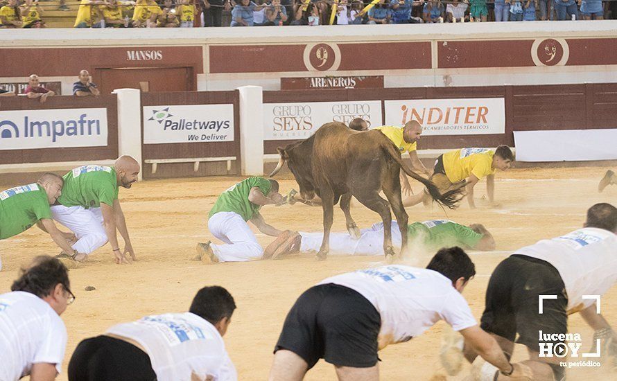 GALERÍA: El Real Unión Amigos se lleva el Gran Prix, que volvió a llenar de colorido el Coso de los Donceles