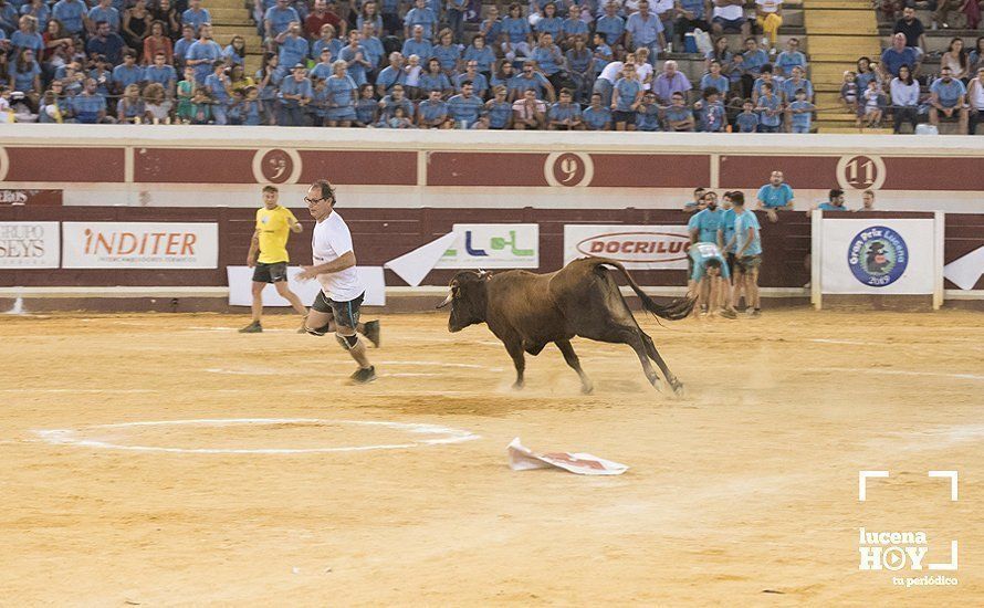 GALERÍA: El Real Unión Amigos se lleva el Gran Prix, que volvió a llenar de colorido el Coso de los Donceles GALERÍA: El Real Unión Amigos se lleva el Gran Prix, que volvió a llenar de colorido el Coso de los Donceles