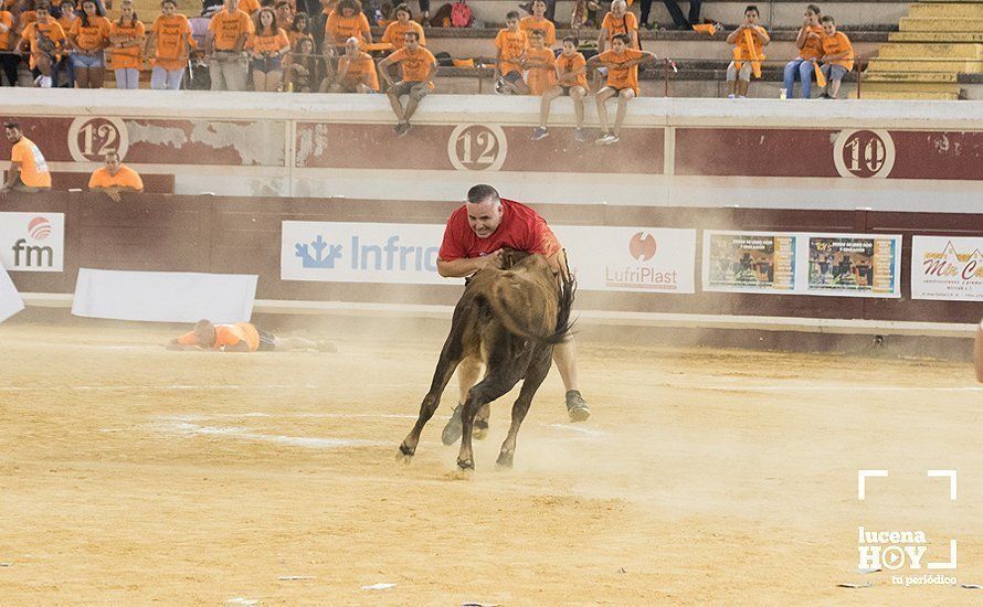 GALERÍA: El Real Unión Amigos se lleva el Gran Prix, que volvió a llenar de colorido el Coso de los Donceles GALERÍA: El Real Unión Amigos se lleva el Gran Prix, que volvió a llenar de colorido el Coso de los Donceles