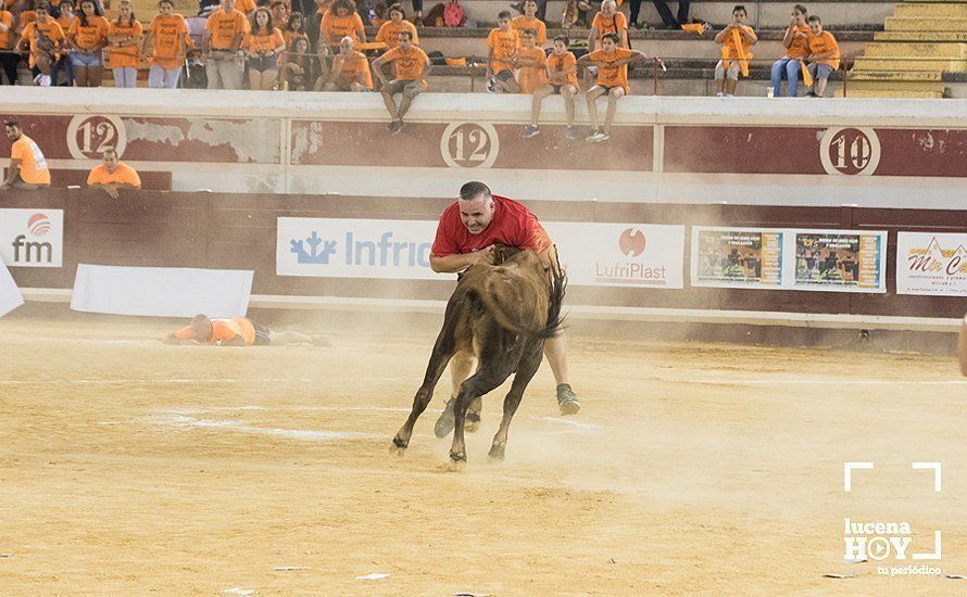 GALERÍA: El Real Unión Amigos se lleva el Gran Prix, que volvió a llenar de colorido el Coso de los Donceles