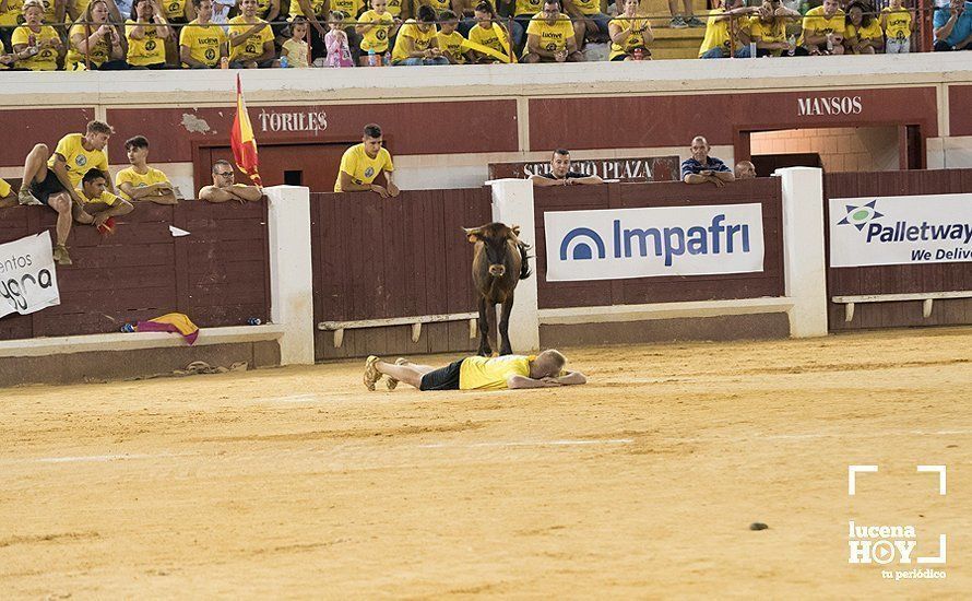 GALERÍA: El Real Unión Amigos se lleva el Gran Prix, que volvió a llenar de colorido el Coso de los Donceles GALERÍA: El Real Unión Amigos se lleva el Gran Prix, que volvió a llenar de colorido el Coso de los Donceles