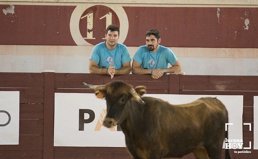 GALERÍA: El Real Unión Amigos se lleva el Gran Prix, que volvió a llenar de colorido el Coso de los Donceles GALERÍA: El Real Unión Amigos se lleva el Gran Prix, que volvió a llenar de colorido el Coso de los Donceles