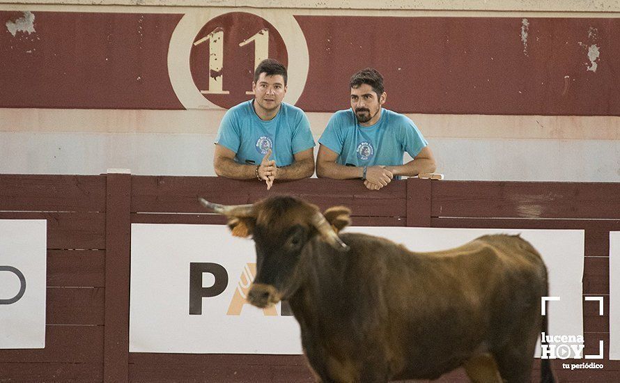 GALERÍA: El Real Unión Amigos se lleva el Gran Prix, que volvió a llenar de colorido el Coso de los Donceles