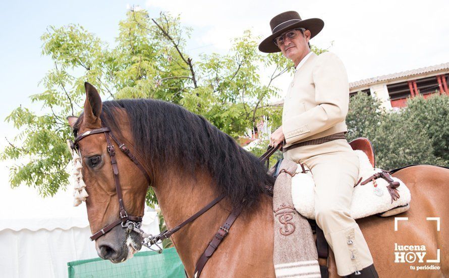 GALERÍA: Feria del Valle 2019 / Al mal tiempo... buena cara: Un recorrido por la feria de día GALERÍA: Feria del Valle 2019 / Al mal tiempo... buena cara: Un recorrido por la feria de día