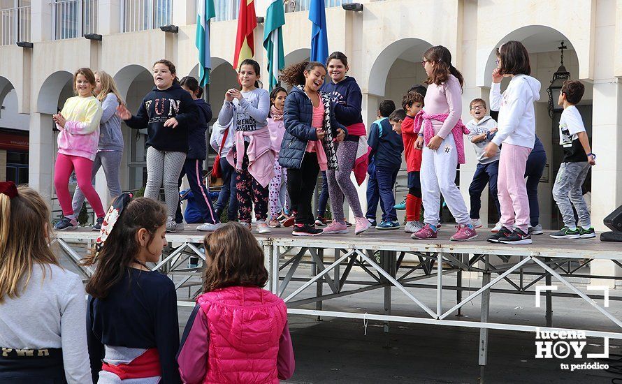 GALERÍA: La Plaza Nueva se llena de actividades saludables de la mano de las asociaciones locales GALERÍA: La Plaza Nueva se llena de actividades saludables de la mano de las asociaciones locales